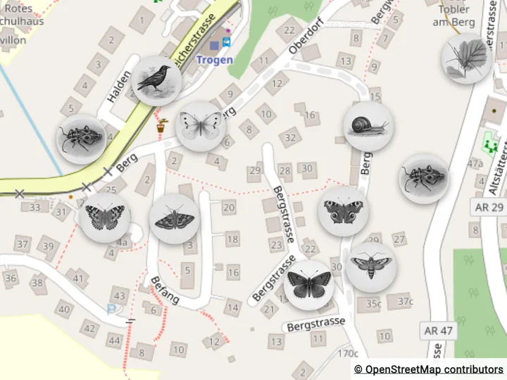 Expedition map with nearby sighting locations