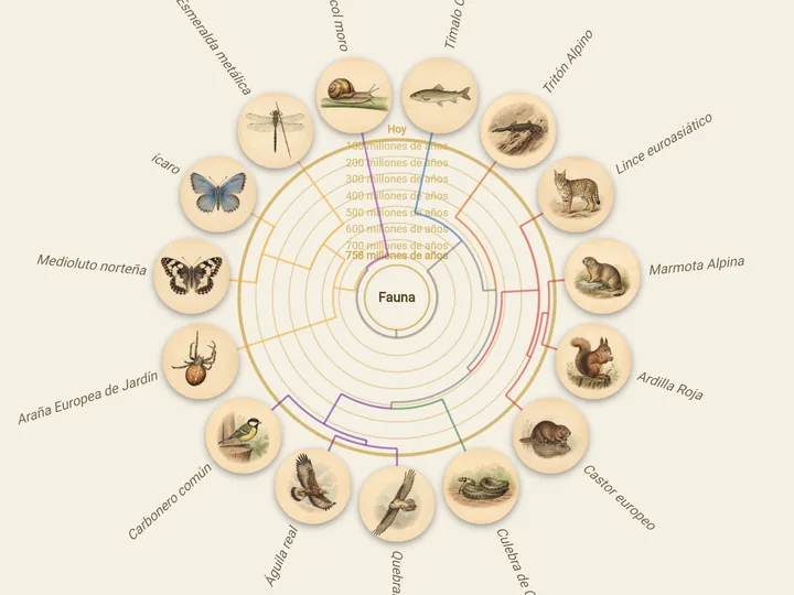 Árbol de la vida con retratos de especies en la app