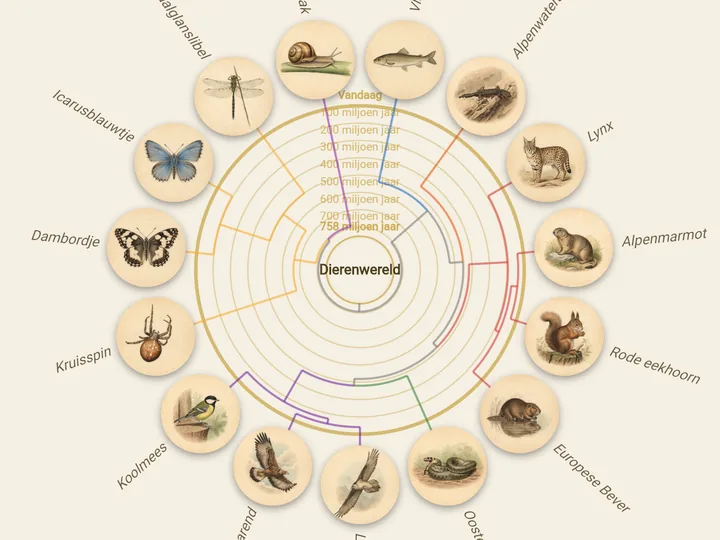 Stamboom van het dierenrijk met soortenportretten in de app