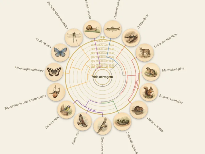 Árvore da vida com retratos de espécies na app